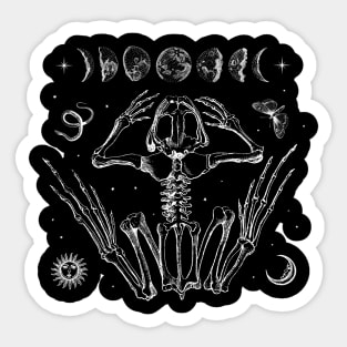 Goblincore Aesthetic: A Vintage Blend of Frog Skeletons, Moth Moon Phases, Sun Stars - Dark Academia's Goth Grunge Sticker